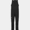 The North Face FREEDOM BIB - Snow Pants - Black