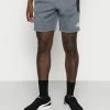 The North Face Shorts - Vanadis Grey Dark Heather/black